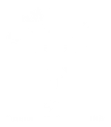 Steam Seattle Mobile Auto Detailing