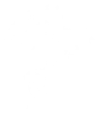 Steam Seattle Mobile Auto Detailing